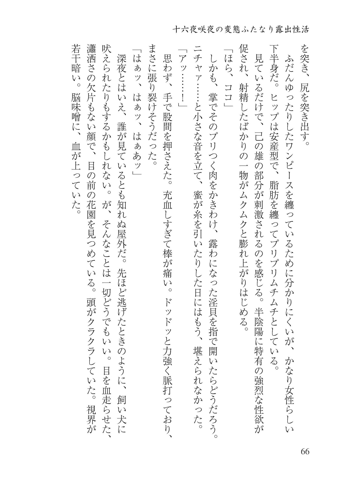 サンプル画像3:十六夜咲夜のドスケベ性活(わめしば) [d_213818]