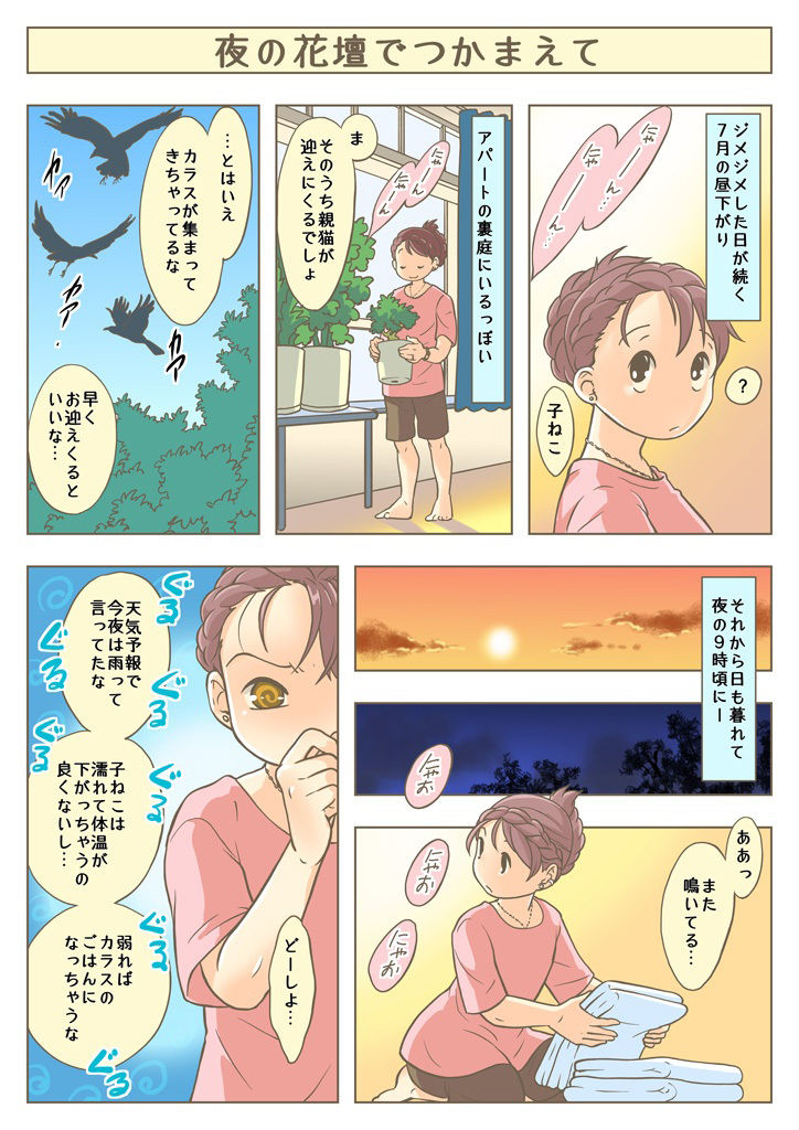 サンプル画像1:こねこをひろっただけなのに(乱痴気事虫所) [d_214716]