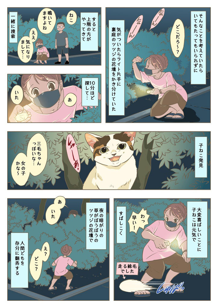 サンプル画像2:こねこをひろっただけなのに(乱痴気事虫所) [d_214716]