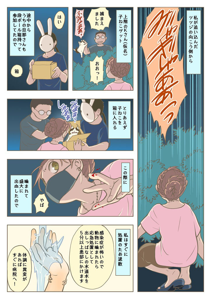 サンプル画像4:こねこをひろっただけなのに(乱痴気事虫所) [d_214716]