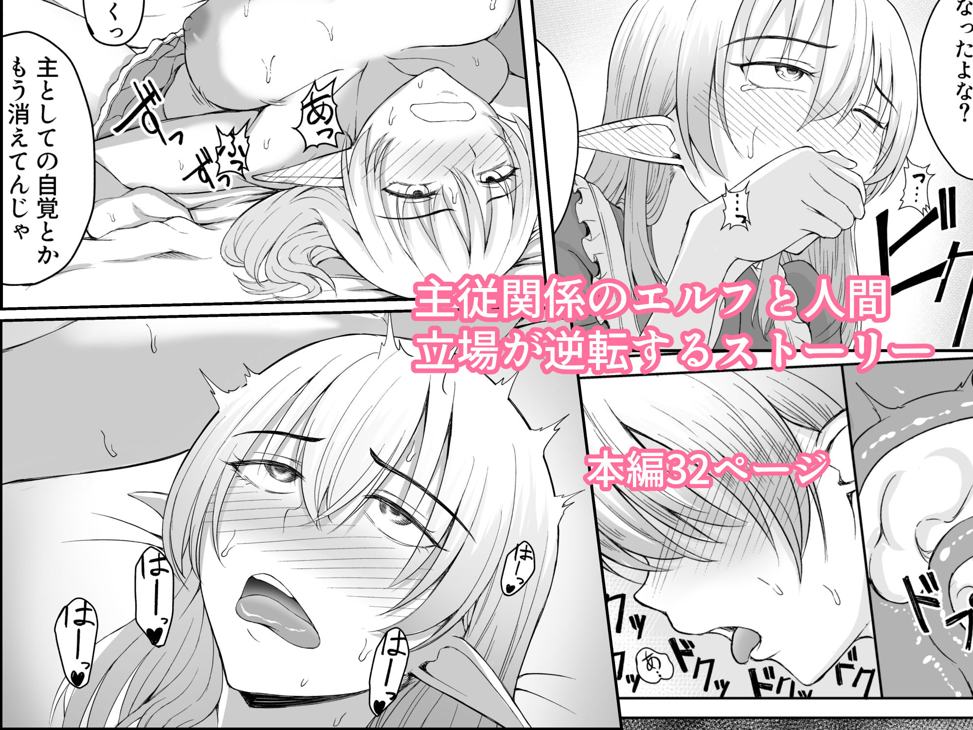 サンプル画像4:主従逆転エルフ(スナイベクエ) [d_214811]