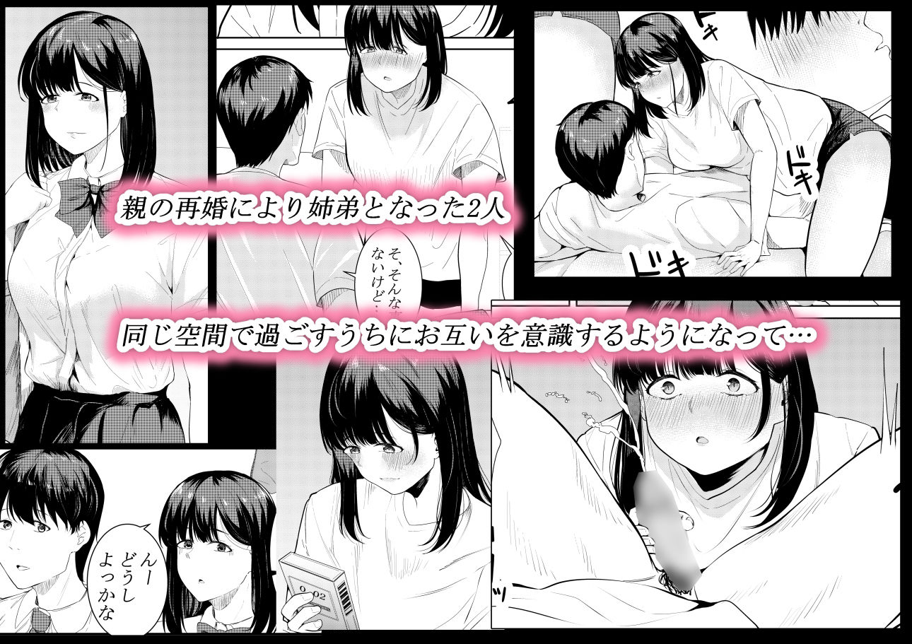 サンプル画像2:僕を好きと言ってくれた姉は他の男に抱かれる(フライマイ) [d_214949]