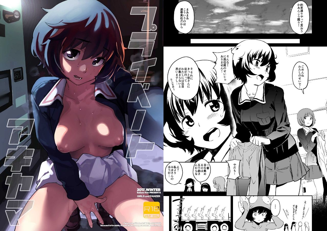 サンプル画像1:プライベートアキヤマ総集編(カムリズム) [d_216078]