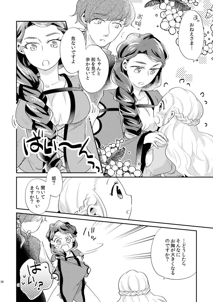 白い結婚‐王と王妃の恋ものがたり‐の画像6