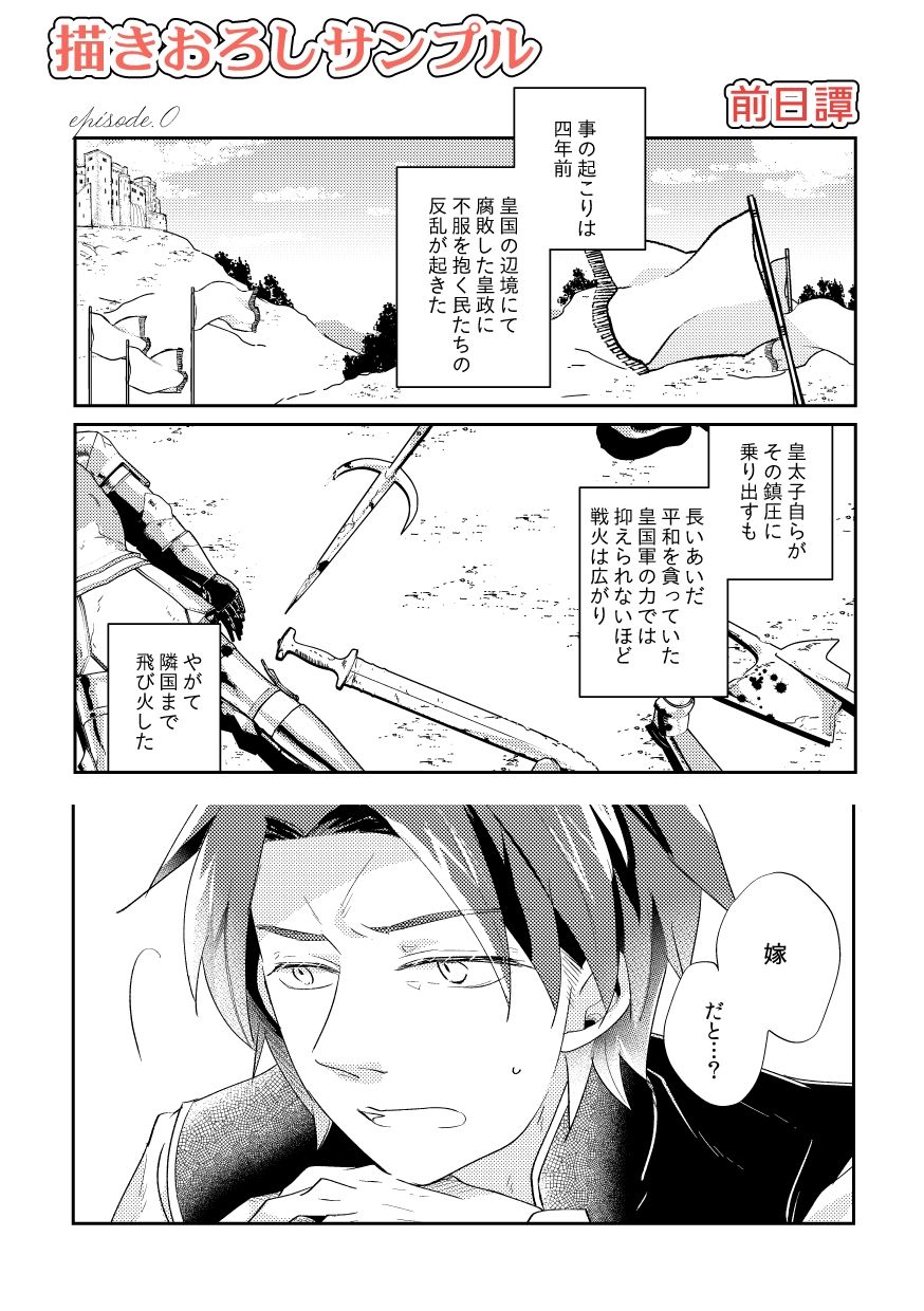 白い結婚‐王と王妃の恋ものがたり‐の画像9