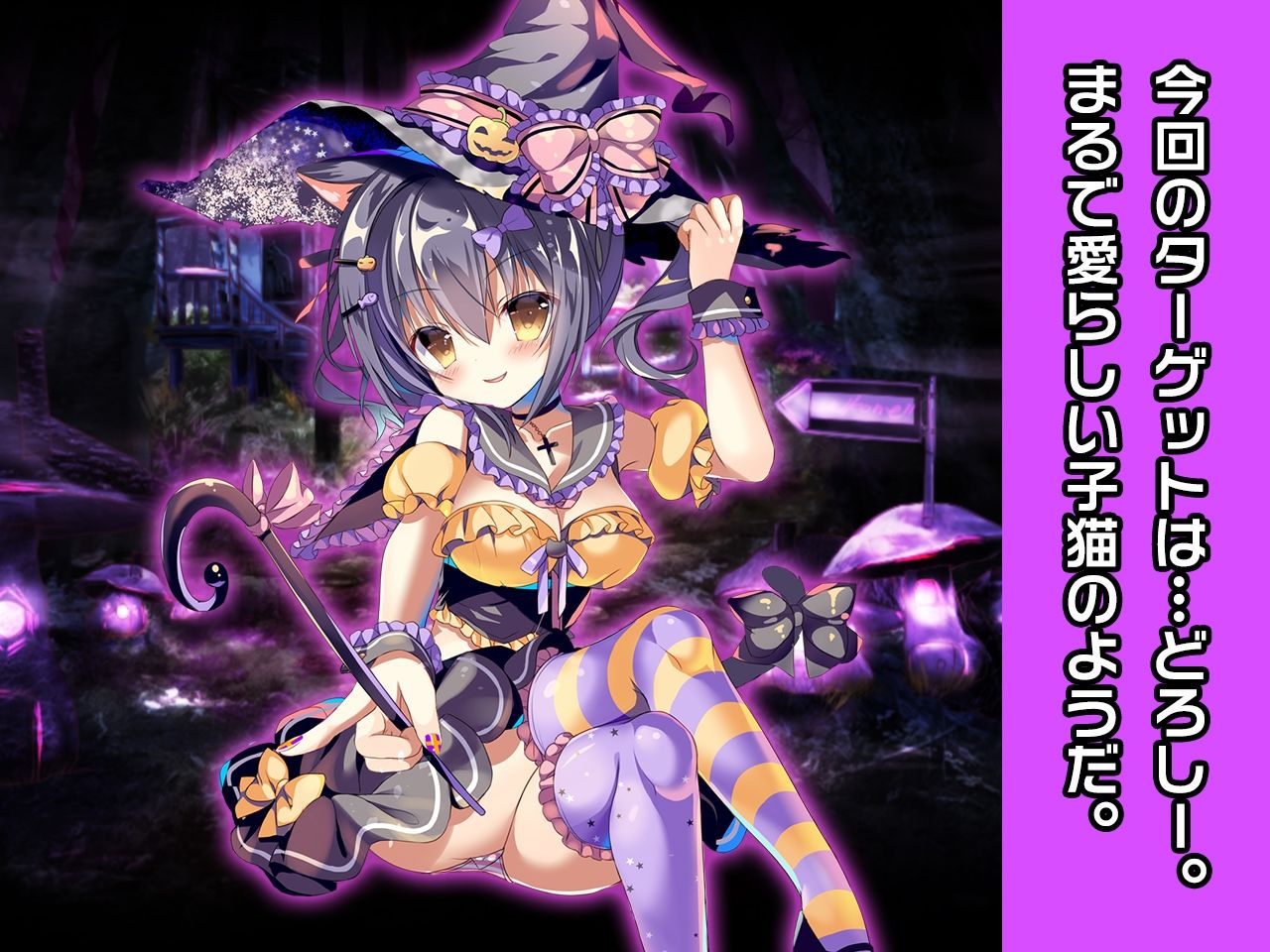 サンプル画像3:キャットガール=スピカ＆魔女っ子どろしー 特別篇 〜ヒロイン絶滅計画より〜 勝気なヒロインを悪堕ちさせよ！(チェリーポンド) [d_217315]