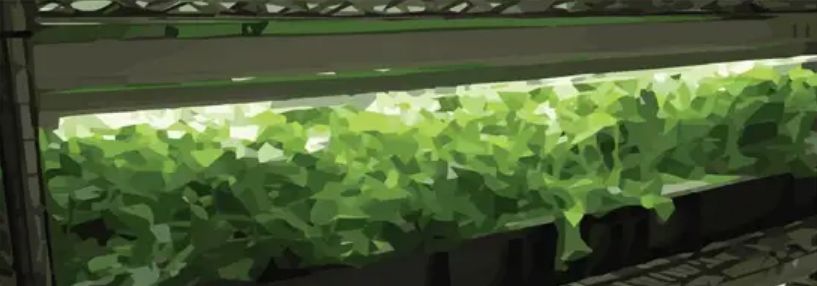 サンプル画像3:とあるホームレスが都会で見つけた秘密基地 夢のような世界(ブルーメトロ) [d_217352]