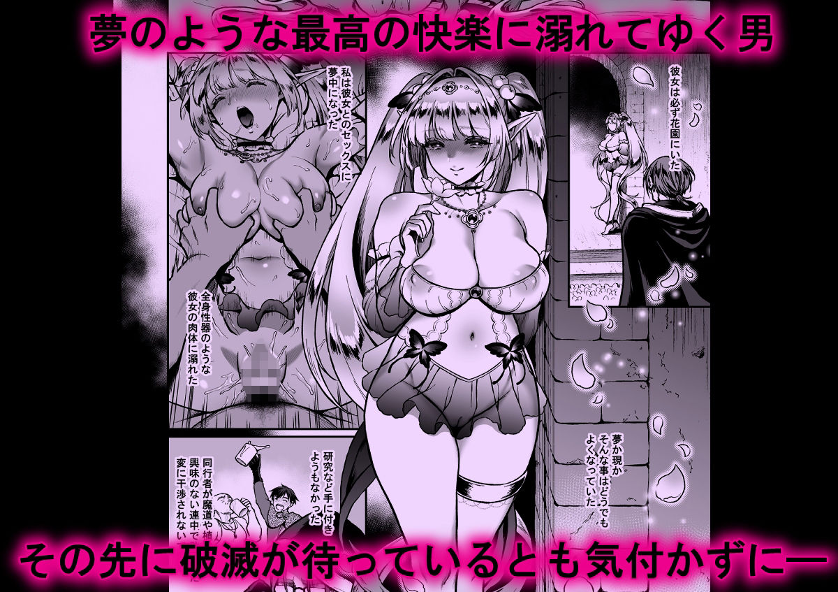 サンプル画像5:悠久の娼エルフ4「夢幻」中編(H.B.A) [d_217423]