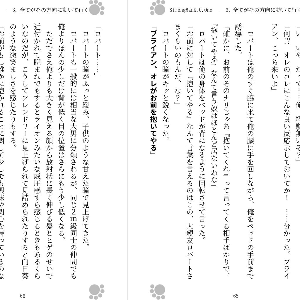 StrongManK.O.Oneの画像2