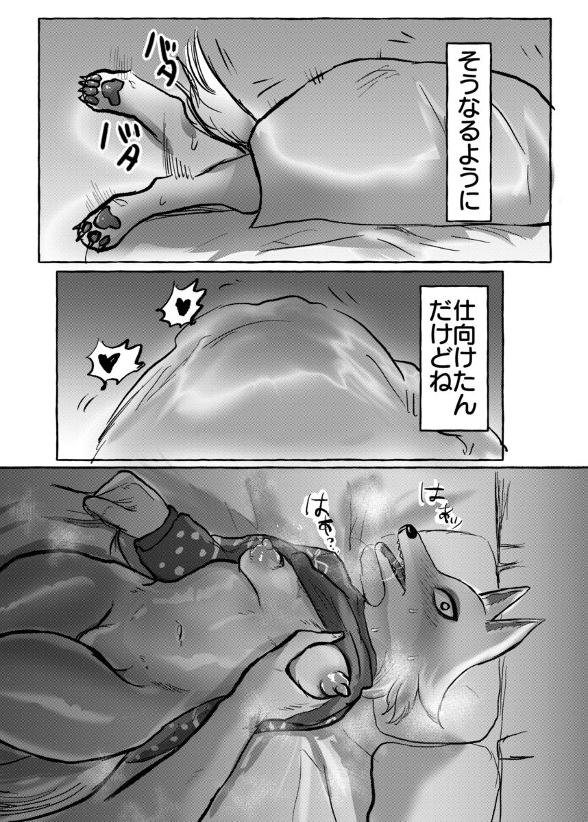 サンプル画像5:壮年男オオカミの雌シベに雌性自覚教育(パワー学院) [d_220113]