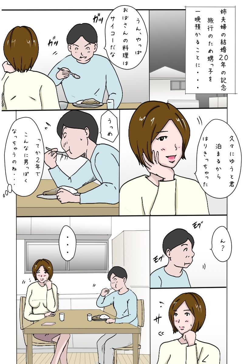 サンプル画像1:「甥っ子が泊まりにきてて・・・」(Binz studio) [d_221258]