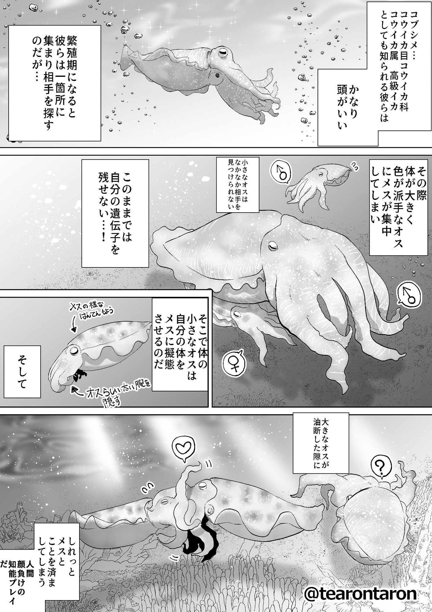 サンプル画像2:学校で一番地味な二人が付き合ってからの話4(てぃーろんたろん) [d_223407]