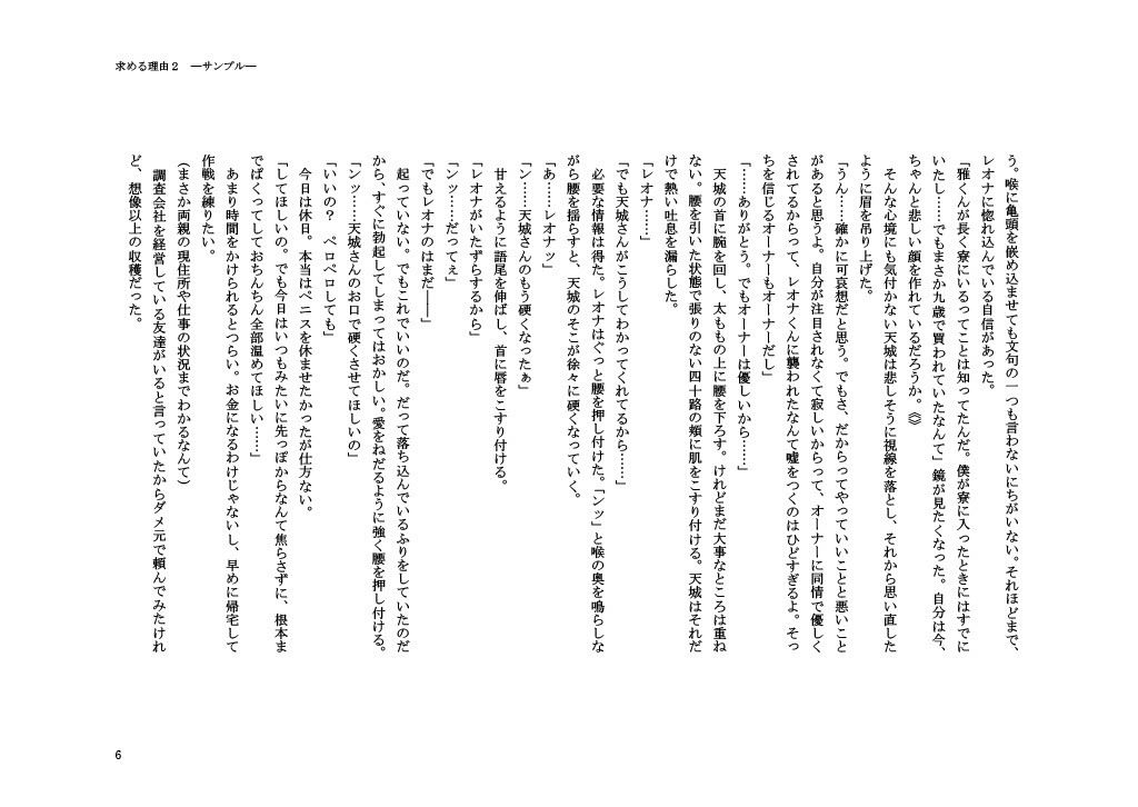 求める理由2の画像6