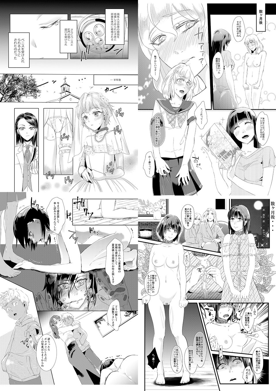 サンプル画像1:恥辱庵全集〜性転換羞恥編〜(恥辱庵) [d_224129]