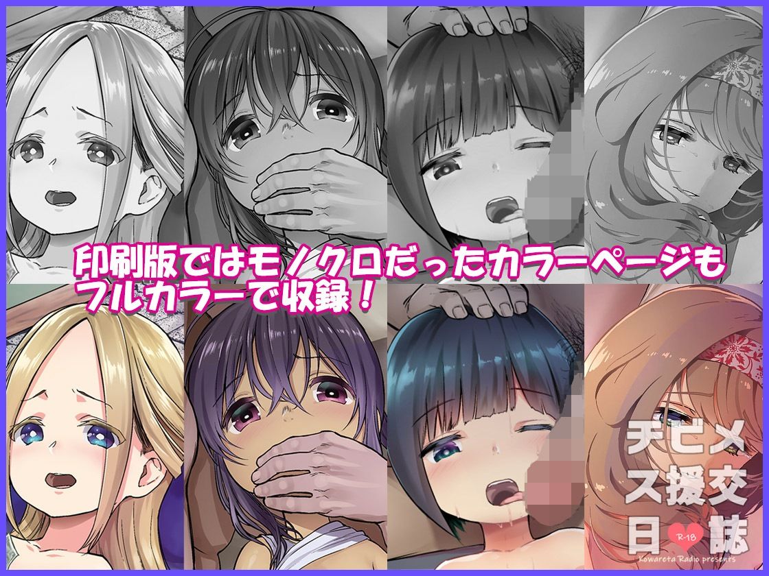 サンプル画像2:チビメス援交日誌2(コワレ田ラジ男) [d_224369]