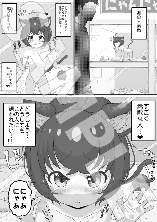 サンプル画像1:純情ネコなるちゃんはちょっぴりエッチでご主人のことが好きすぎるにゃ(ロル計劃所) [d_224886]