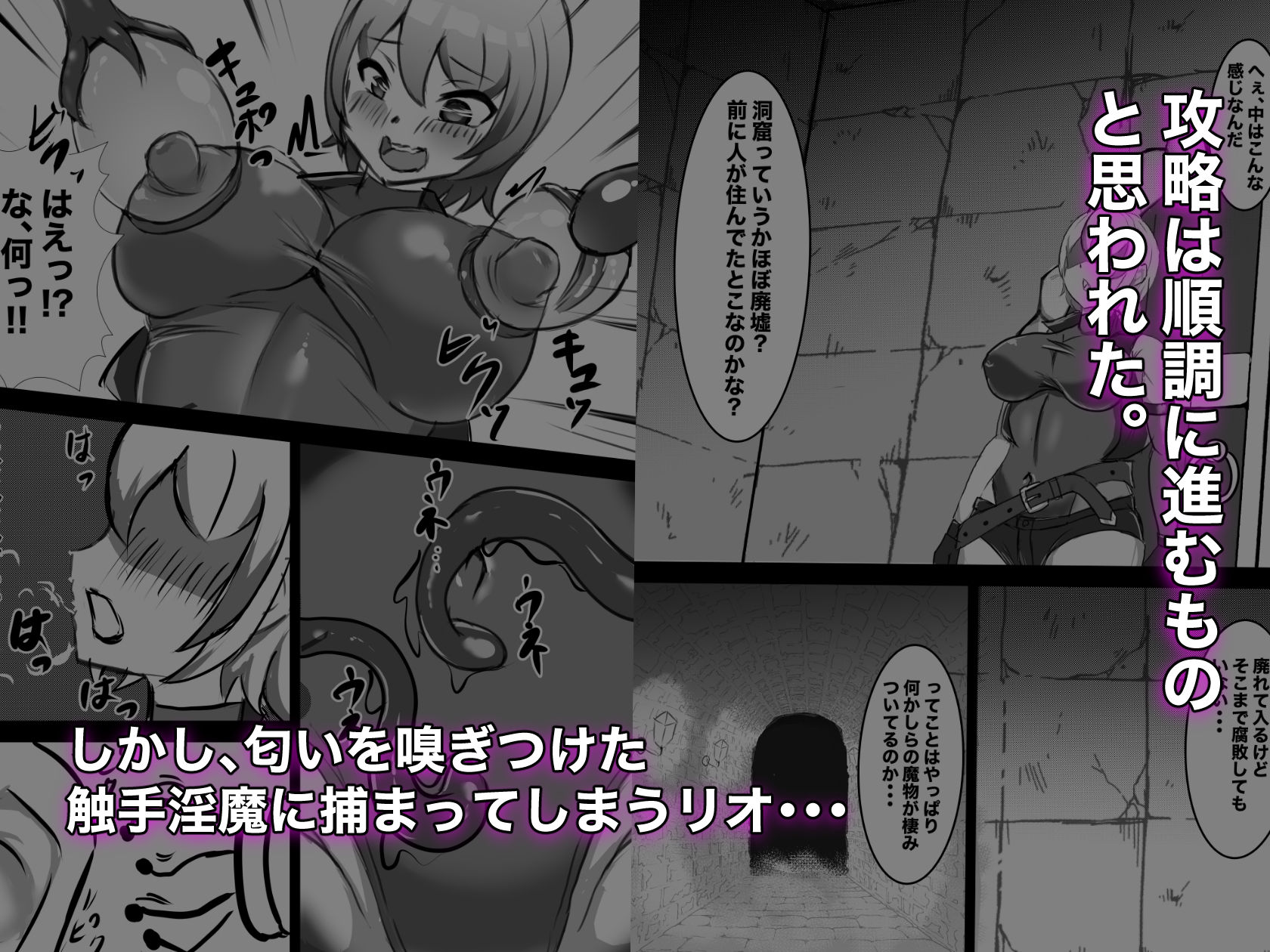 サンプル画像2:むっつりSランク冒険者、触手淫魔に捕らわれレベル排泄 ＆ メス堕ち完全敗北(はーど☆まにあっくす) [d_224968]