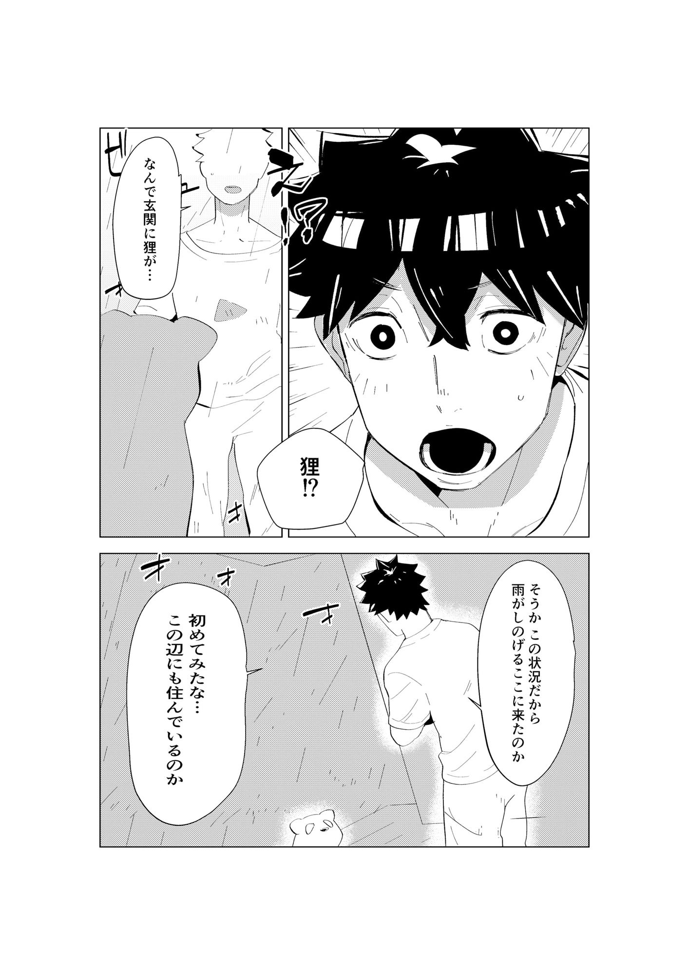 サンプル画像3:狸の恩返し(たまもと) [d_225095]