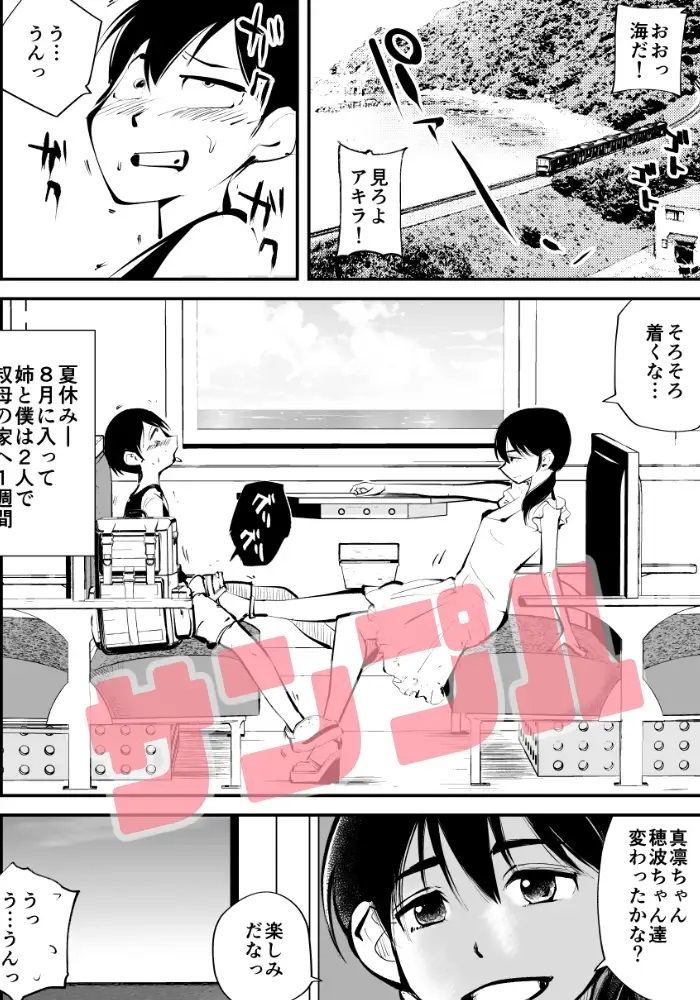 サンプル画像2:電マ姉弟＆従妹inビーチ(ピーカン) [d_225211]