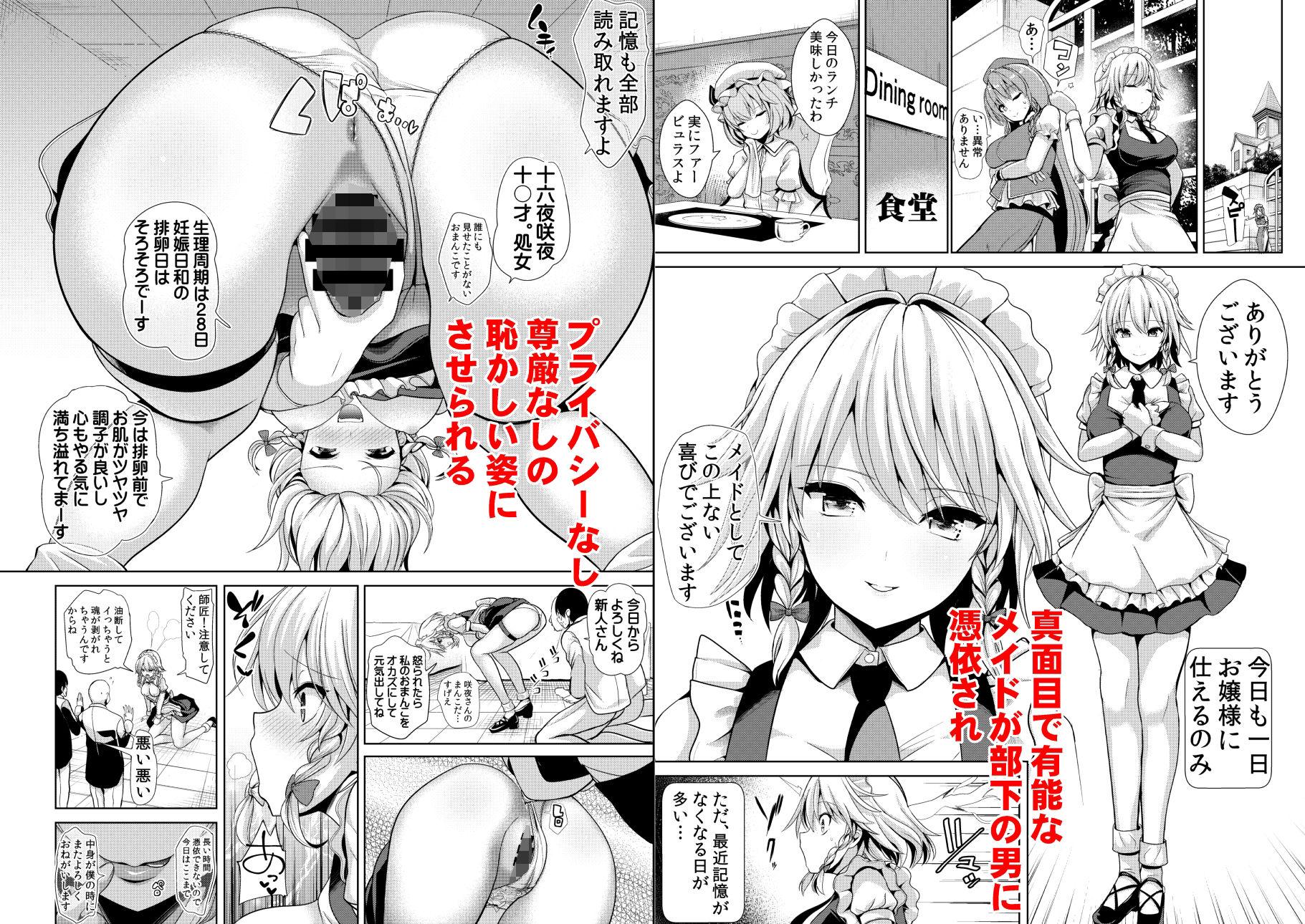 サンプル画像1:東方TSF3 咲夜に憑依(背徳漢) [d_225314]