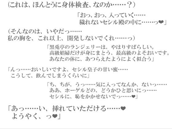 エルフ皇子セシル陥落〜凌●調教の催●奴●花嫁〜の画像2