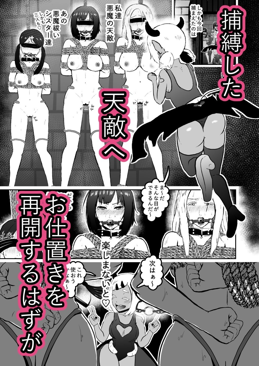 サンプル画像5:シスタレイド6(トンテン) [d_227290]