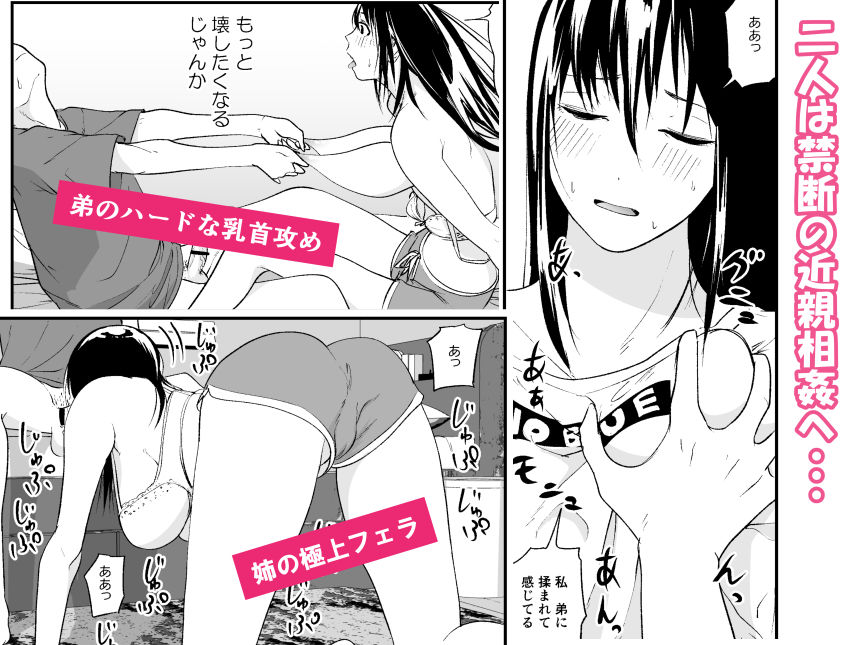 サンプル画像2:完璧な姉ちゃんの極太ディルドオナニーを目撃してしまった件(ぱるぷへくしょん) [d_228544]