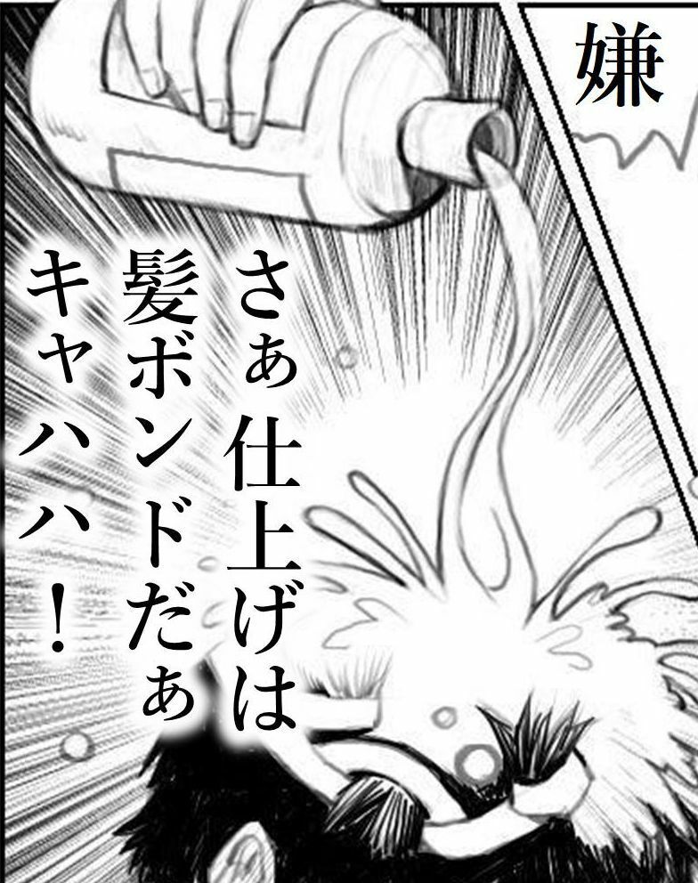 サンプル画像4:髪ボンド(海鳥プロジェクト) [d_228818]