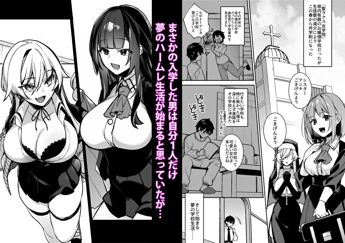 サンプル画像1:犯●れ催● 男子1人しかいない学園で性格最悪のイジメっこに犯●れまくる(ぷぅのぷぅぷぅぷぅ) [d_230198]