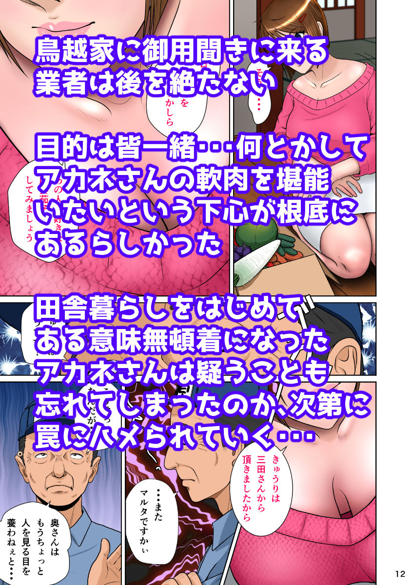 サンプル画像3:垣根妻II第一話(NTRシステム) [d_231634]