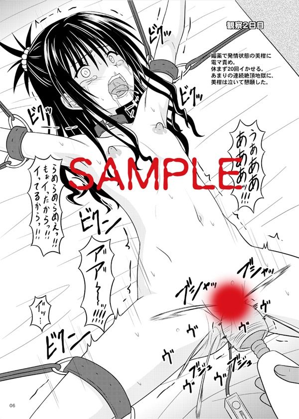 サンプル画像2:少女調教観察記録(ちらりずむ) [d_231841]