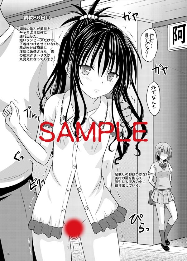 サンプル画像4:少女調教観察記録(ちらりずむ) [d_231841]