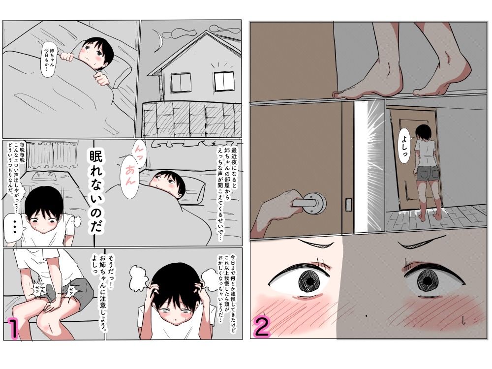 サンプル画像2:お姉ちゃんと中出しセックスするおとうと(パンプキン) [d_231845]