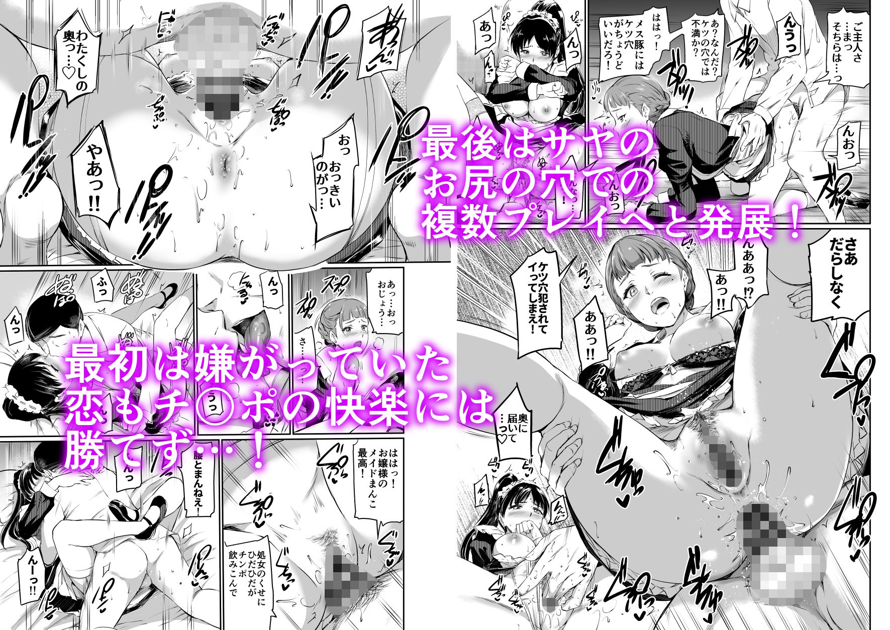 サンプル画像4:葉月家のメイド事情(黒ねこ赤リボン) [d_234404]