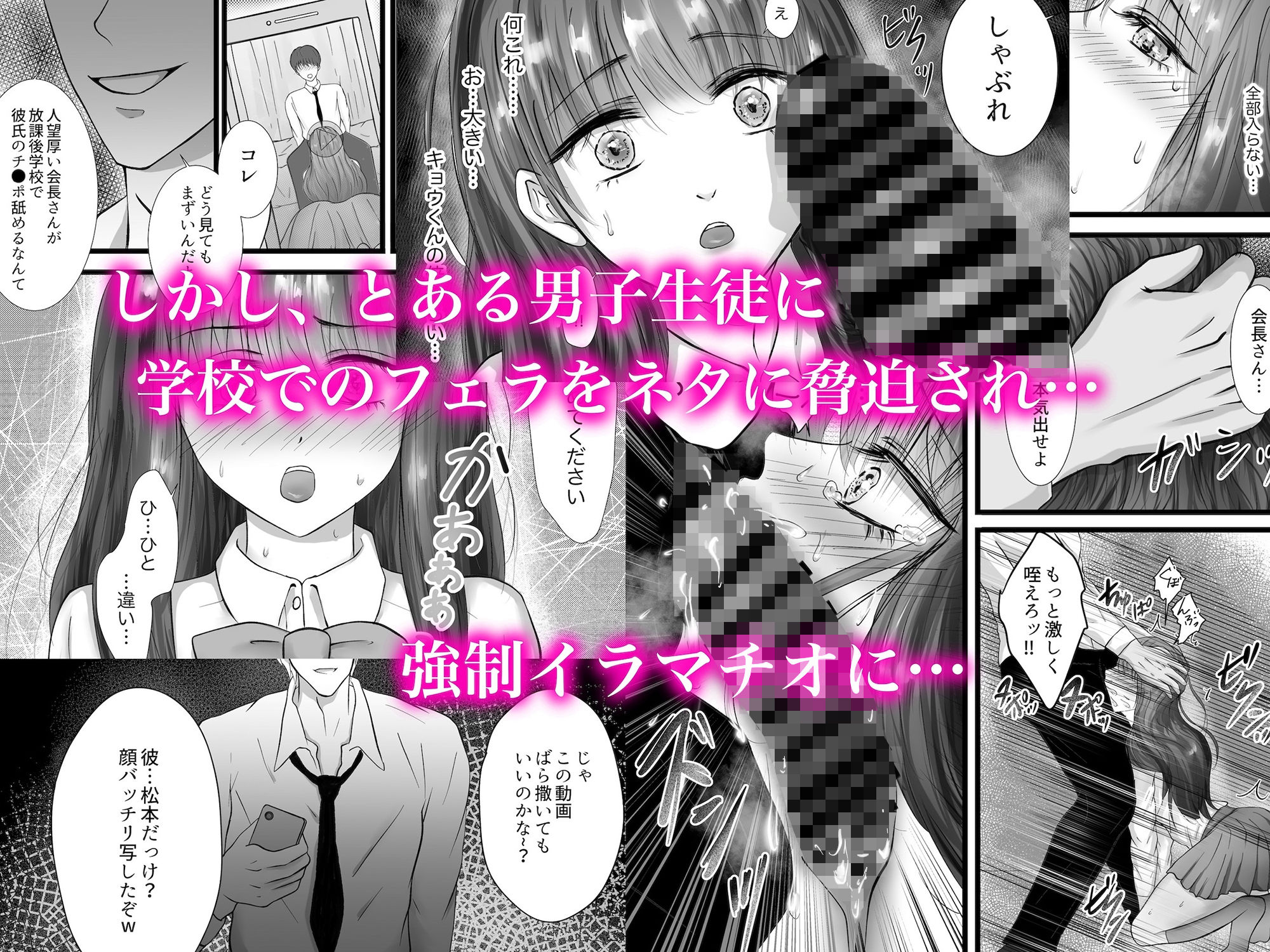 サンプル画像2:生徒会長が堕ちるまで(mini-LOVE) [d_234717]