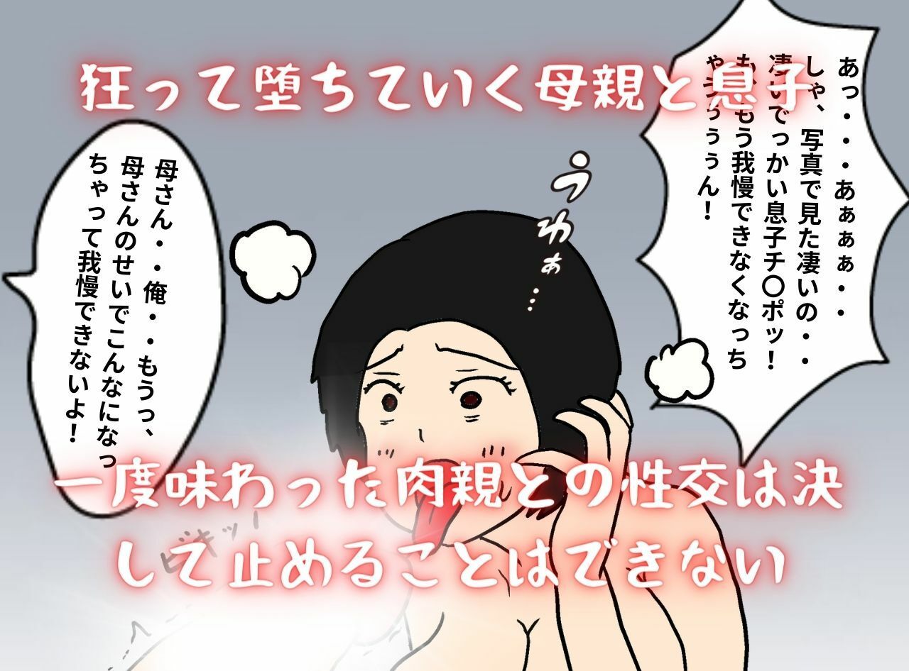 私が堕ちた母子相姦「ネットで出逢った相手は実の息子」