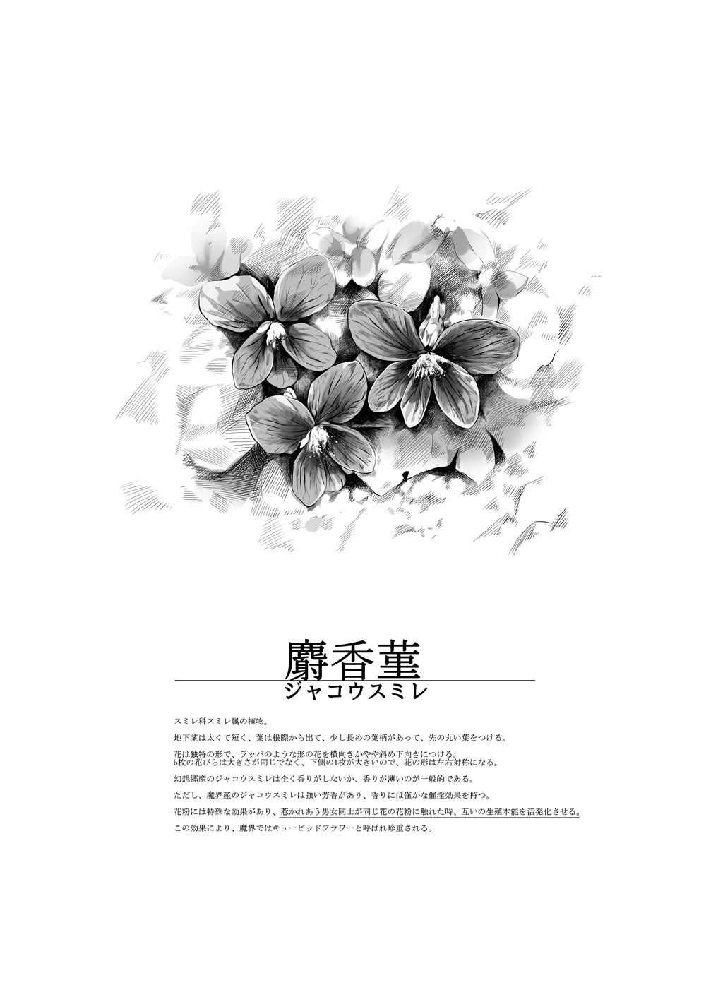 サンプル画像2:sweet days(夜のバンド) [d_236066]