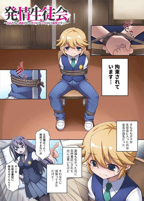サンプル画像2:発情生徒会〜会長たちに誘惑されてボクのアソコはもう限界ですっ！〜(モニスタラッシュ/a Matures) [d_236717]