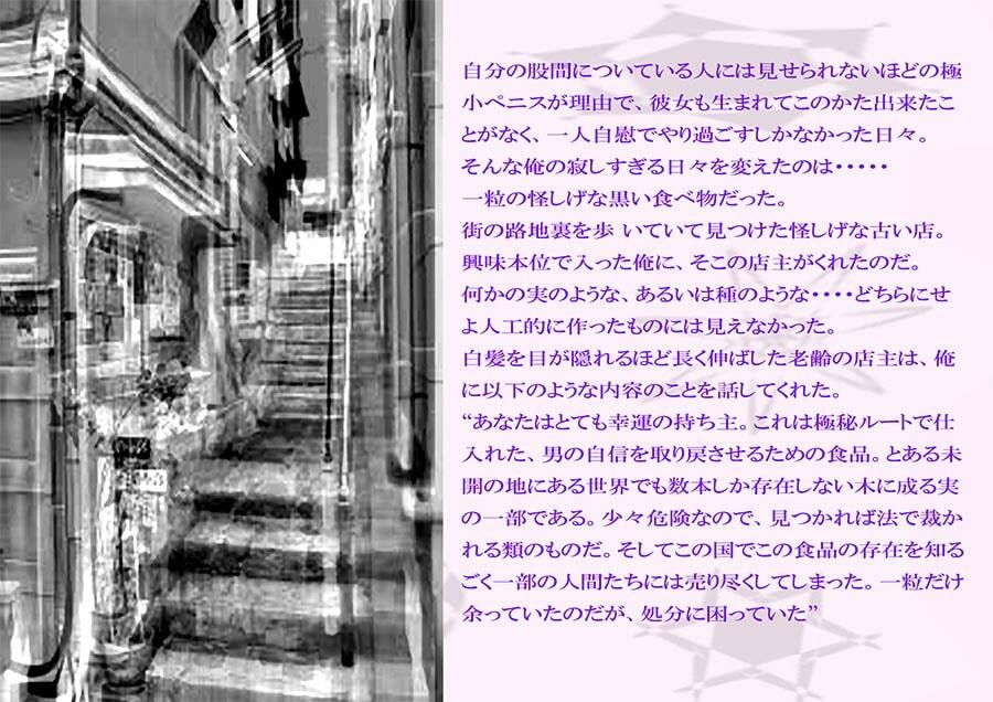 サンプル画像1:以前とはまるで別物の巨根を手に入れた俺が、おばさんをナンパして肉欲のままにやりたい放題セックスした(逢瀬のひび) [d_237736]