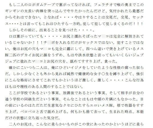 サンプル画像2:肉欲で大逆転！！ ずっといじめられていた同級生の女子二人を肉奴●にした俺 第二話(逢瀬のひび) [d_237958]