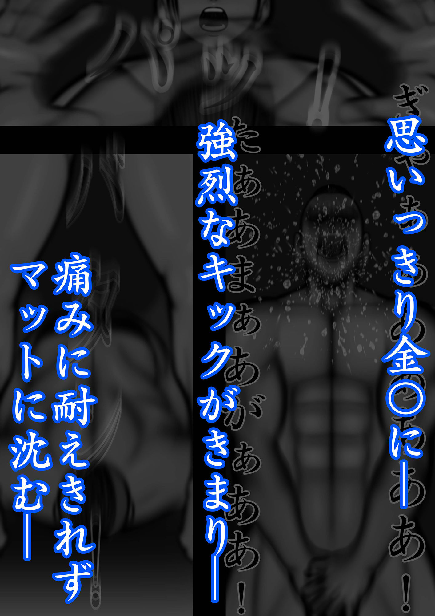 裏・総合格闘技3 ミックスファイト 〜敗北者には絶望を〜