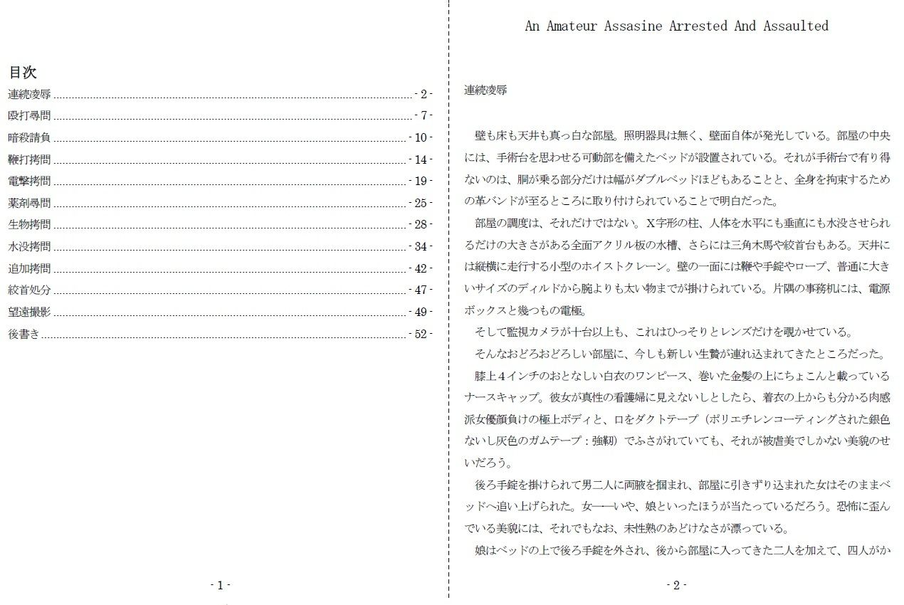 サンプル画像1:An Amateur Assasine Arrested And Assaulted(SMX工房) [d_240582]