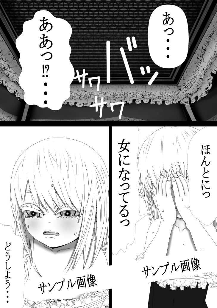 サンプル画像3:男なんかに落とされはしない！！！ 第一集(333) [d_240830]