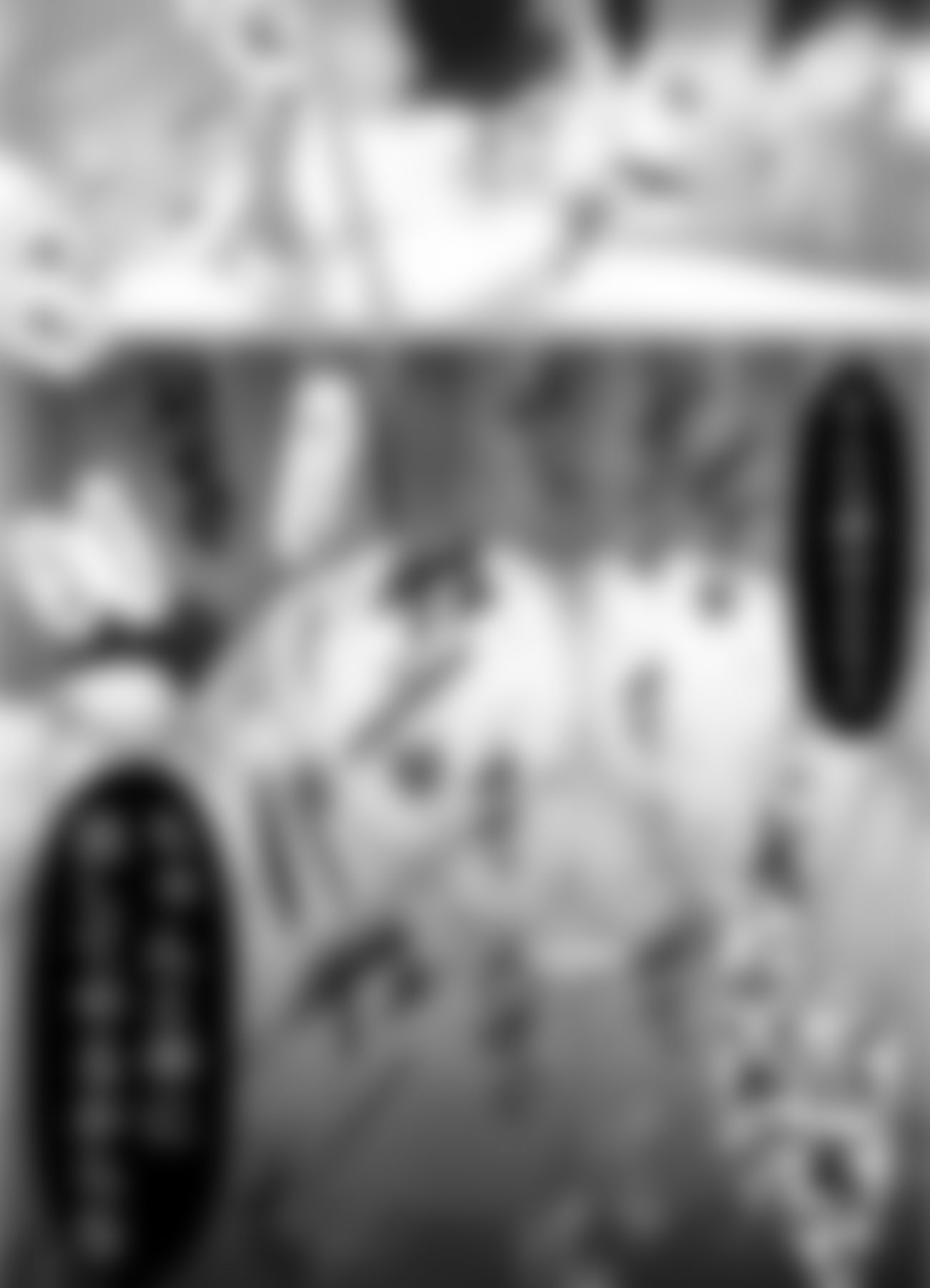 黒百合がとけるまで〜庭師の心臓編〜