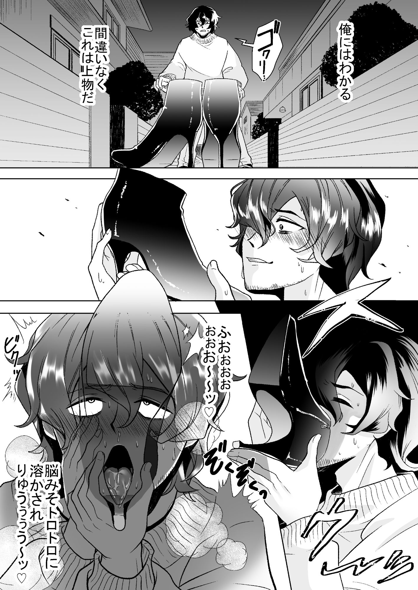 サンプル画像4:靴泥棒トラップ(ミスターほっけ) [d_244052]