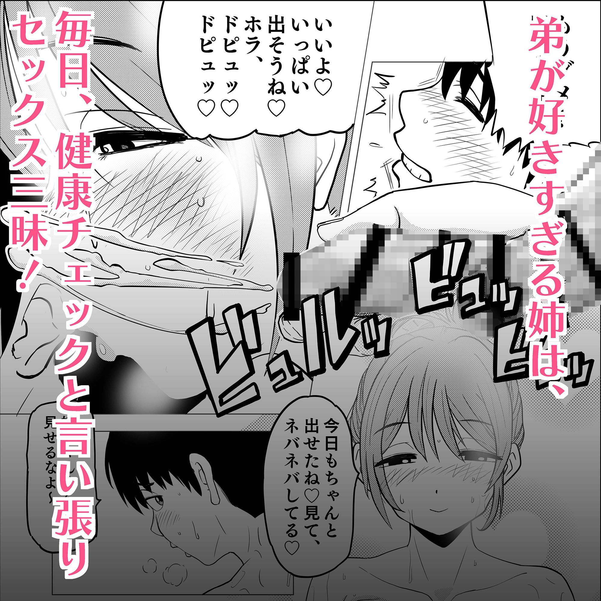 サンプル画像1:お姉ちゃんは結婚できない！(アイカケオーレ) [d_244569]