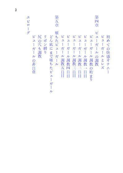 サンプル画像3:ビューガール(ヒロイン小説研究所) [d_244610]