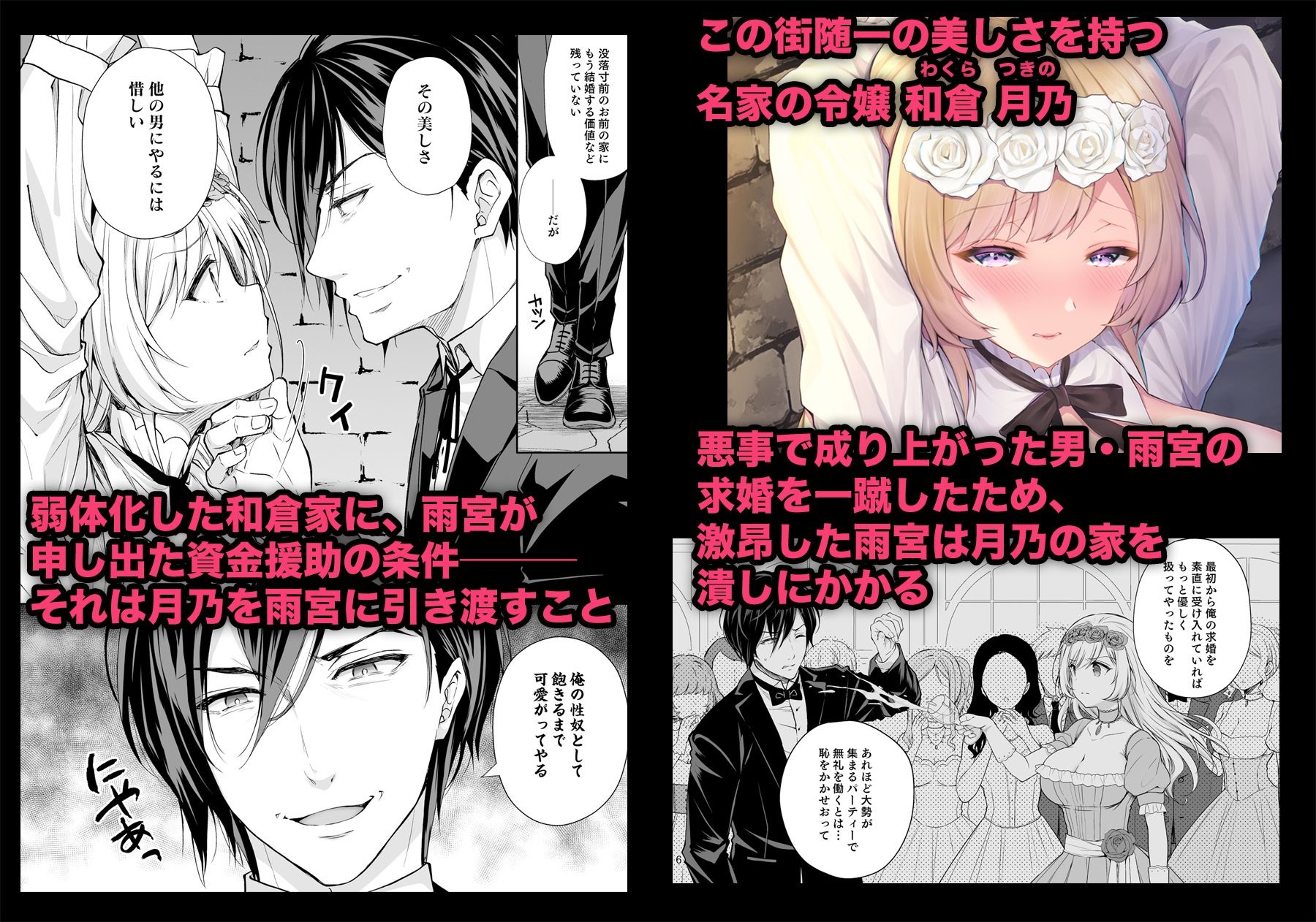 サンプル画像1:隷嬢の小夜曲 第一楽章(Sugar＊Berry＊Syrup) [d_245079]