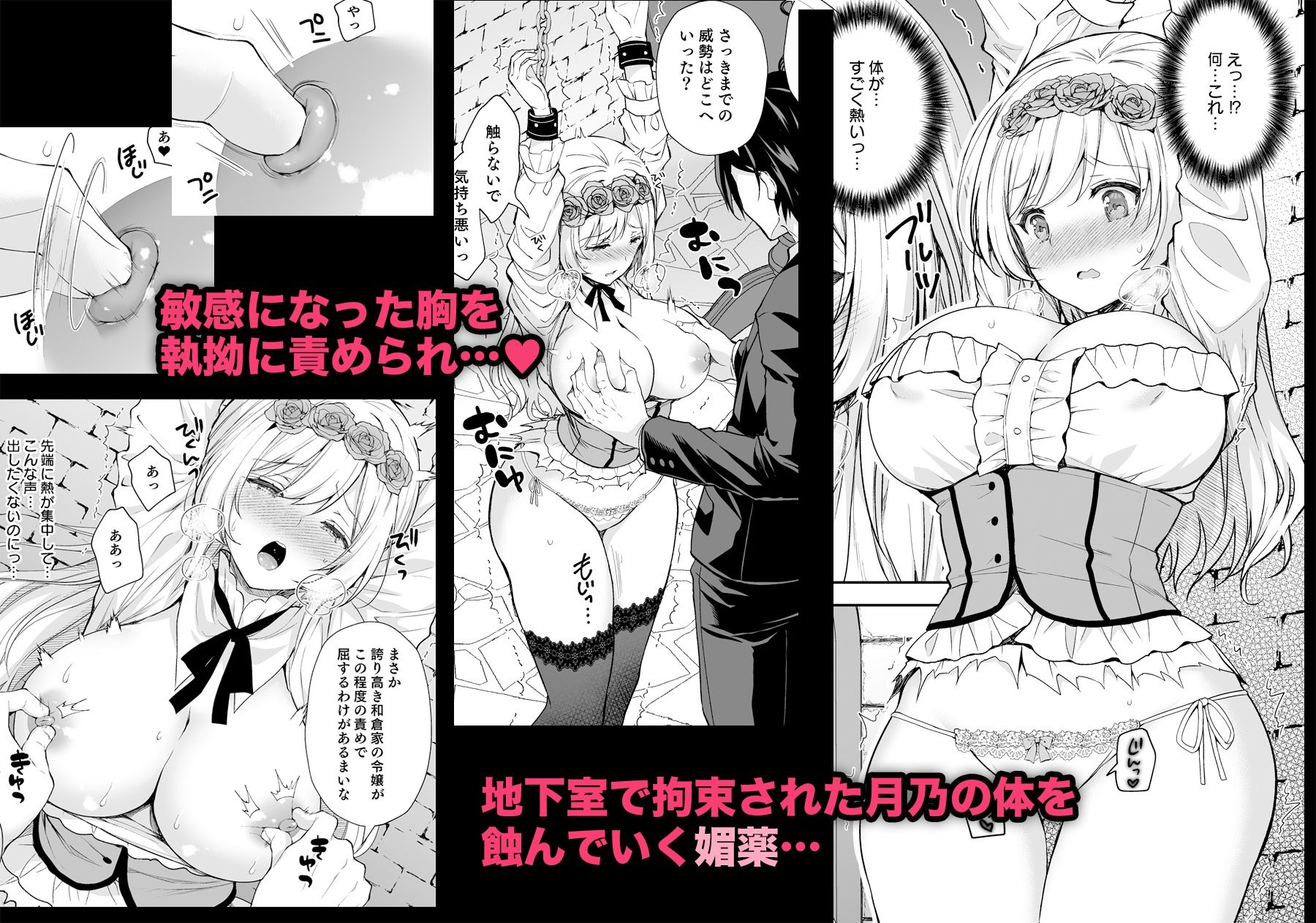 サンプル画像2:隷嬢の小夜曲 第一楽章(Sugar＊Berry＊Syrup) [d_245079]