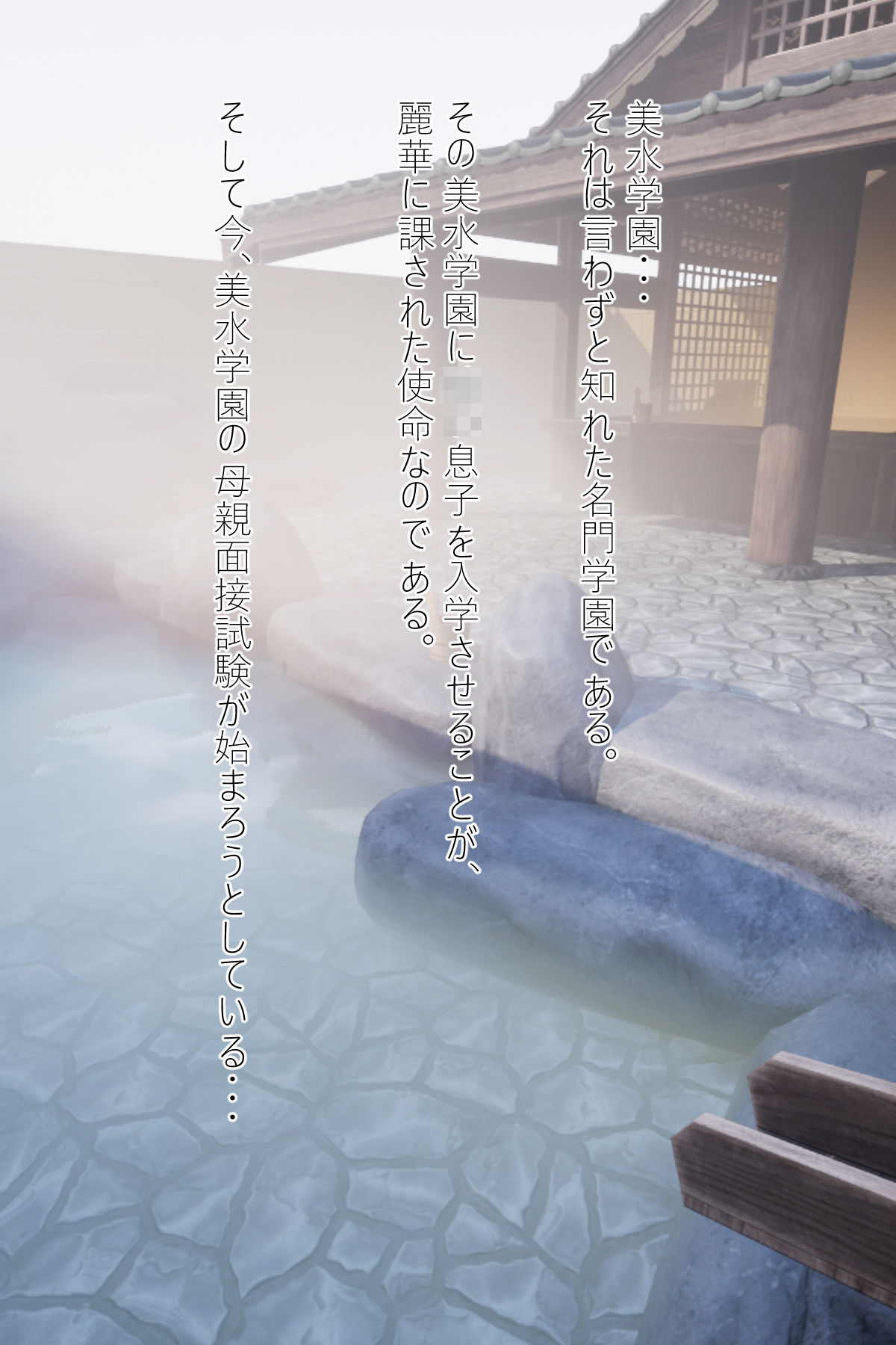 サンプル画像2:学園面接 寝取り寝取られ(ふた妻) [d_246394]